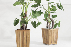 ambientazione_desert_cesto_4