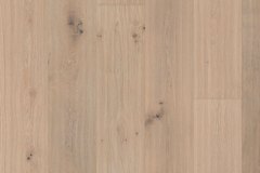oak-18-04