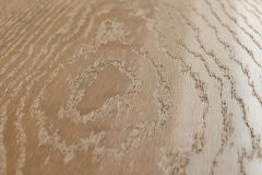 oak-19-02