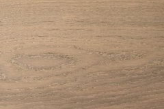 oak-19-03