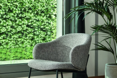 calligaris-armchair-holly-03
