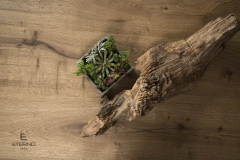 eterno-mobili-dining-11d-joy