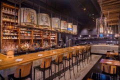 midj-joe-sgabello-ts-2