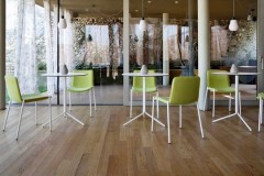 midj-trampoliere-in-s-m